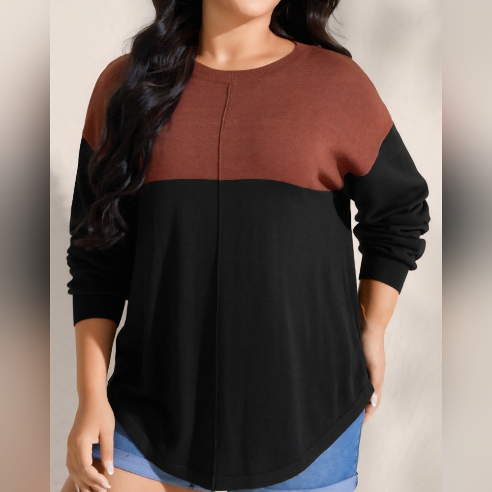 Bloom Chic Supersoft Drop Shoulder Curved Hem Colorblock Knit Pullover